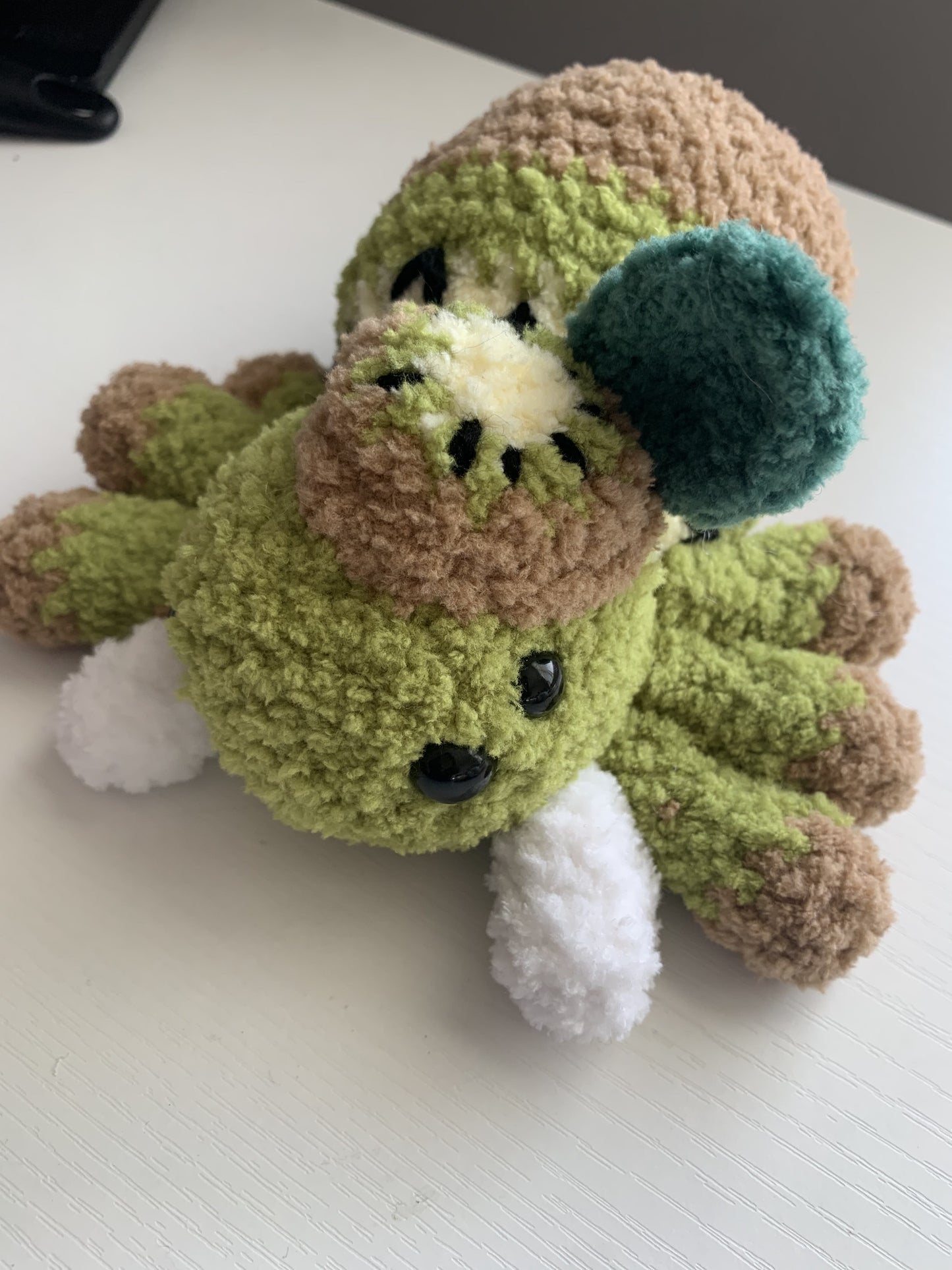 Kiwi Spider