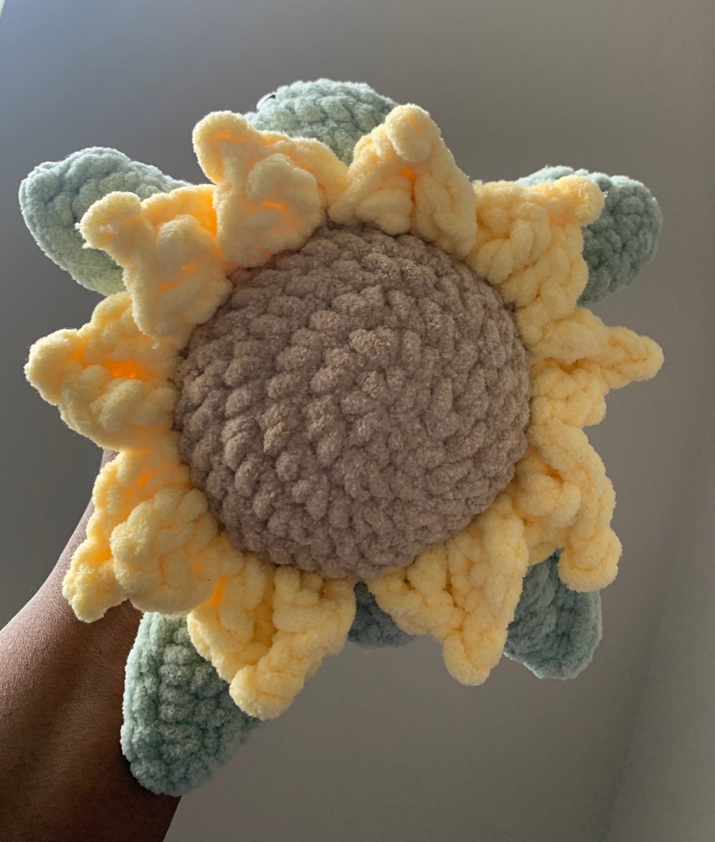 Sunflower Turtle