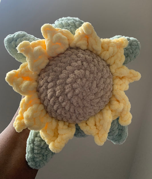 Sunflower Turtle